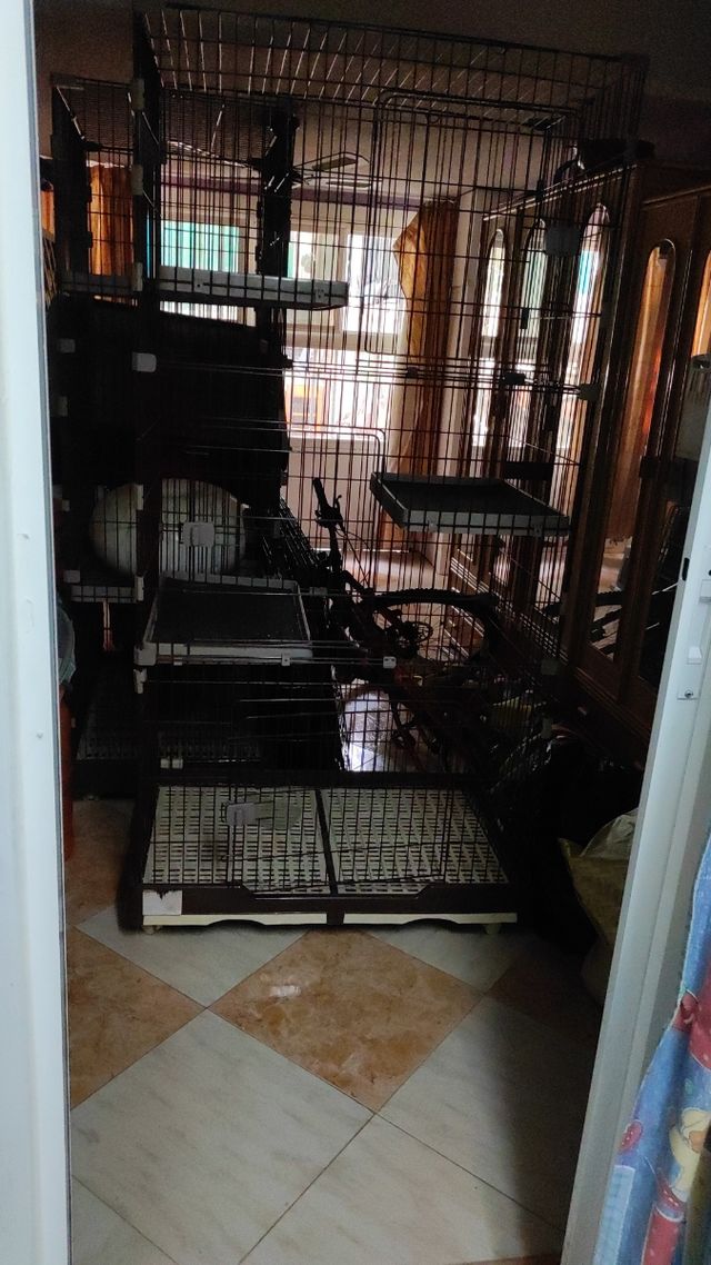 Jaula mascotas 5 niveles
