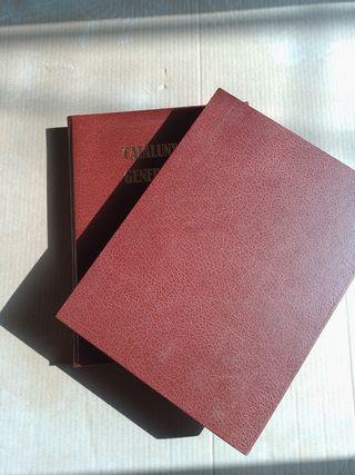 Catalunya i la Generalitat al llarg de la nostra h