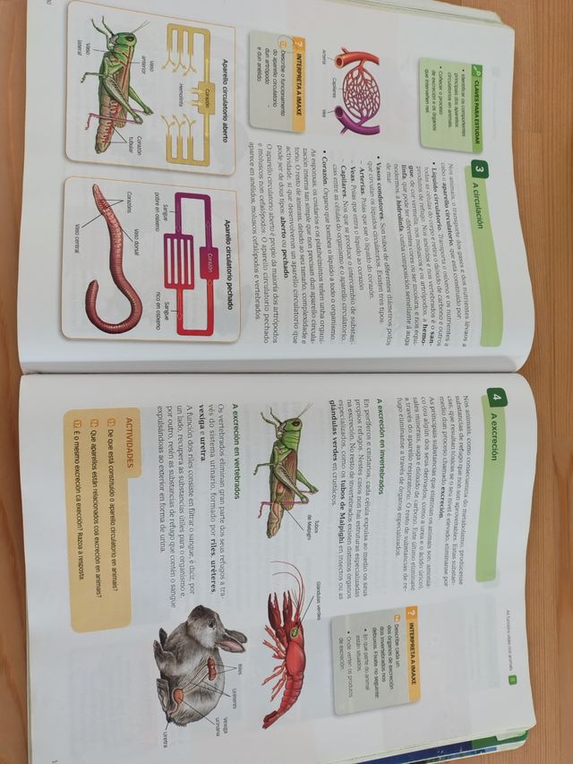 Libro Bioloxía e Xeoloxía 1º ESO.