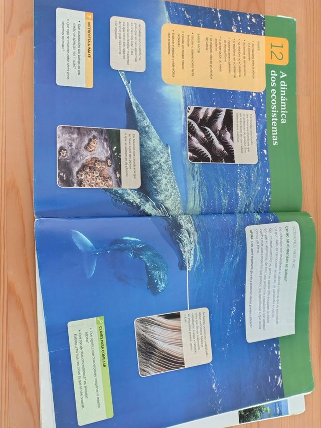 Libro Bioloxía e Xeoloxía 1º ESO.