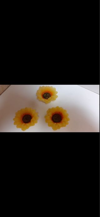 Candele girasoli nuove insieme