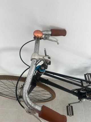 Bicicleta de paseo Vintage