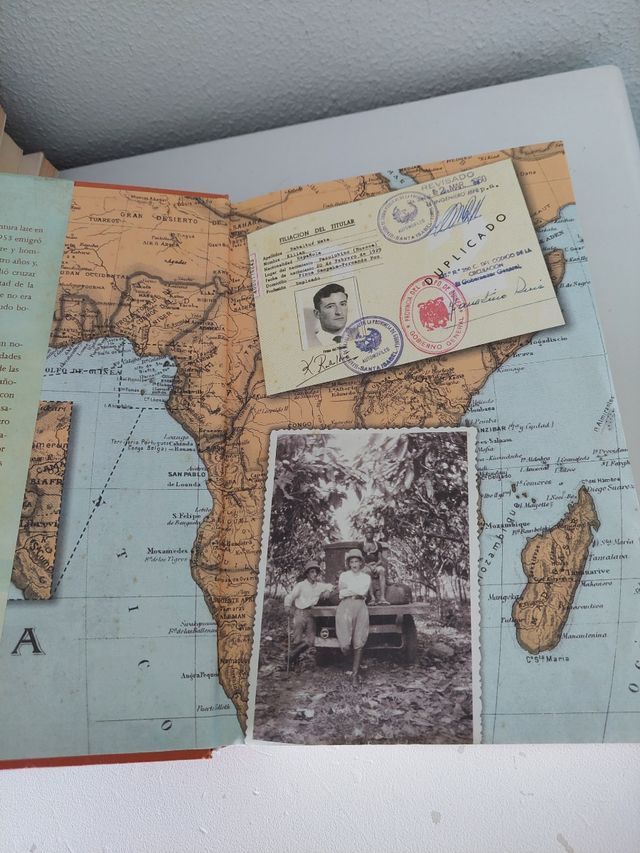 Palmeras en la nieve. Luz Gabás