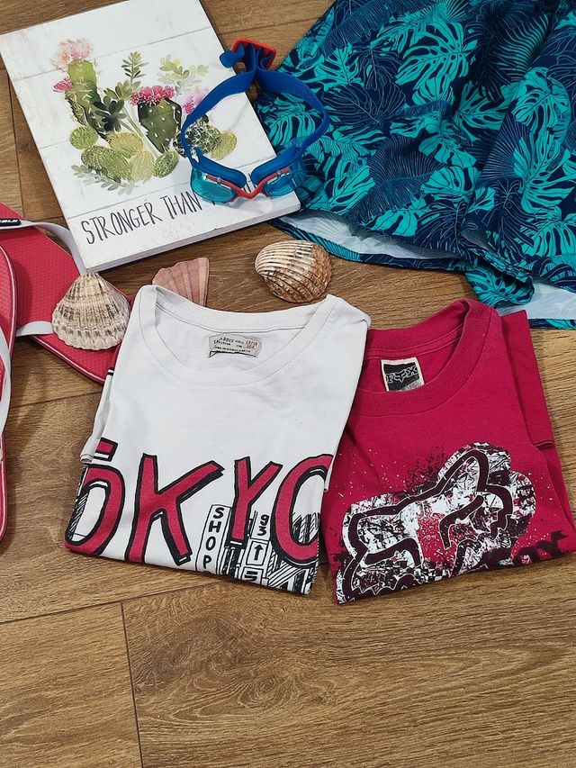 Pack 2 camisetas algodón chico,"Zara boys".