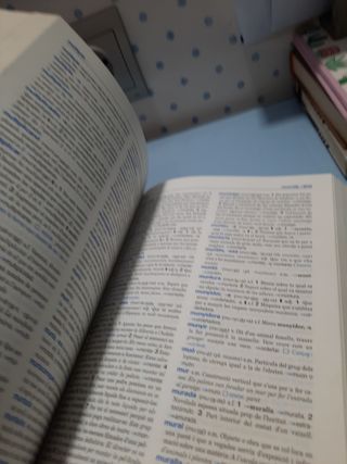 Diccionari valencià