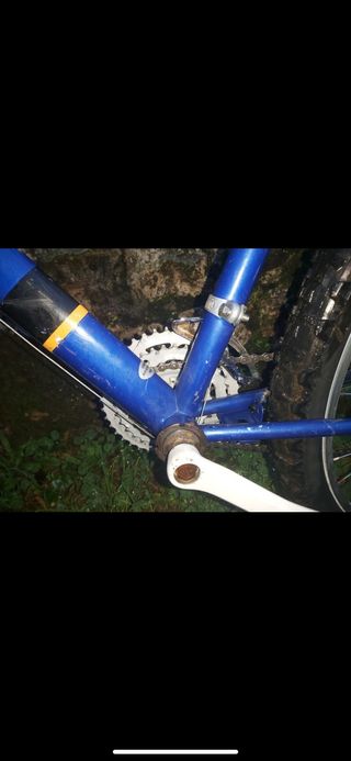 Bici peugeot