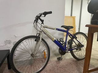 Bicicleta longway 