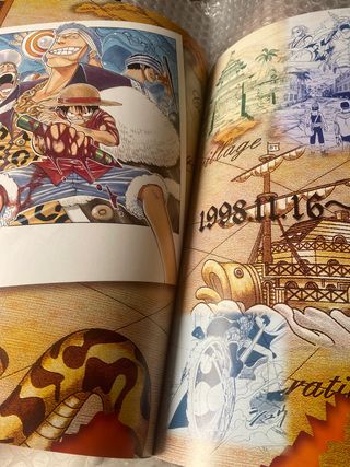 ONE PIECE COLORWALK 1 NUEVO