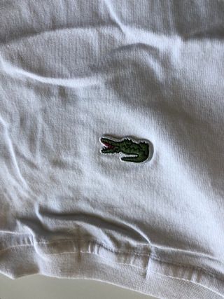 camiseta lacoste