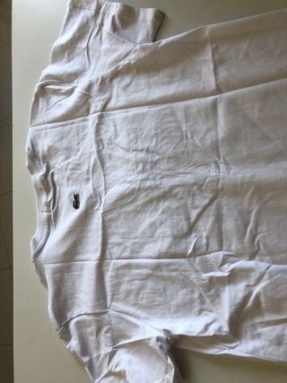 camiseta lacoste