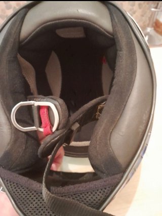 casco Shark