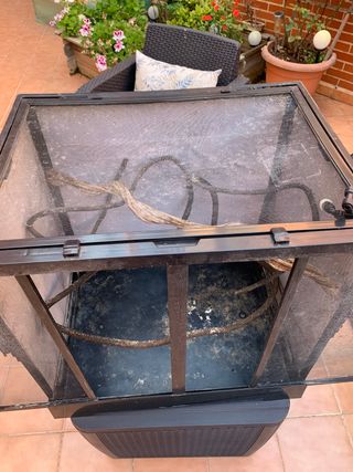 Terrario para camaleones