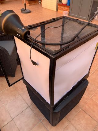 Terrario para camaleones