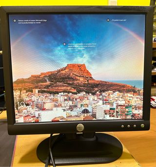 Monitor DELL E173FP