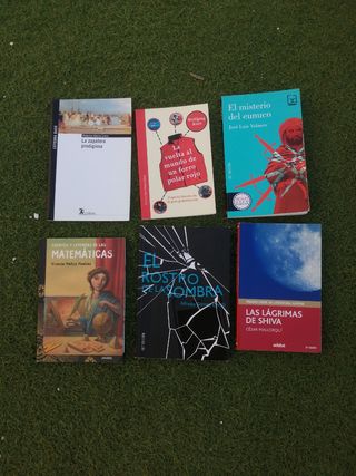 Libros lectura Bachillerato y Secundaria