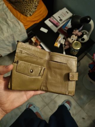 Portafoglio f.e.n.d.i. anni 90