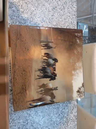 Libro (EL caballo De Pura Raza Española)