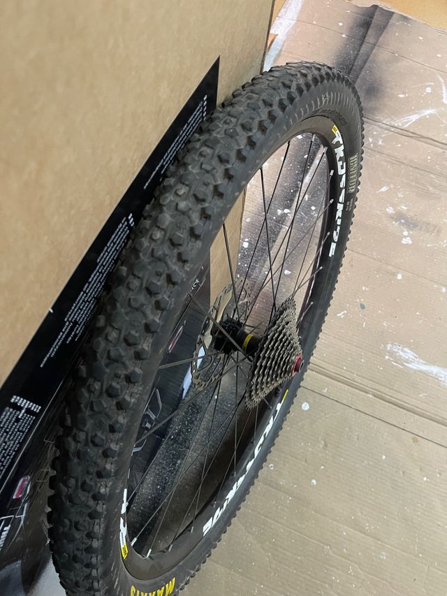Ruedas 29 Mavic