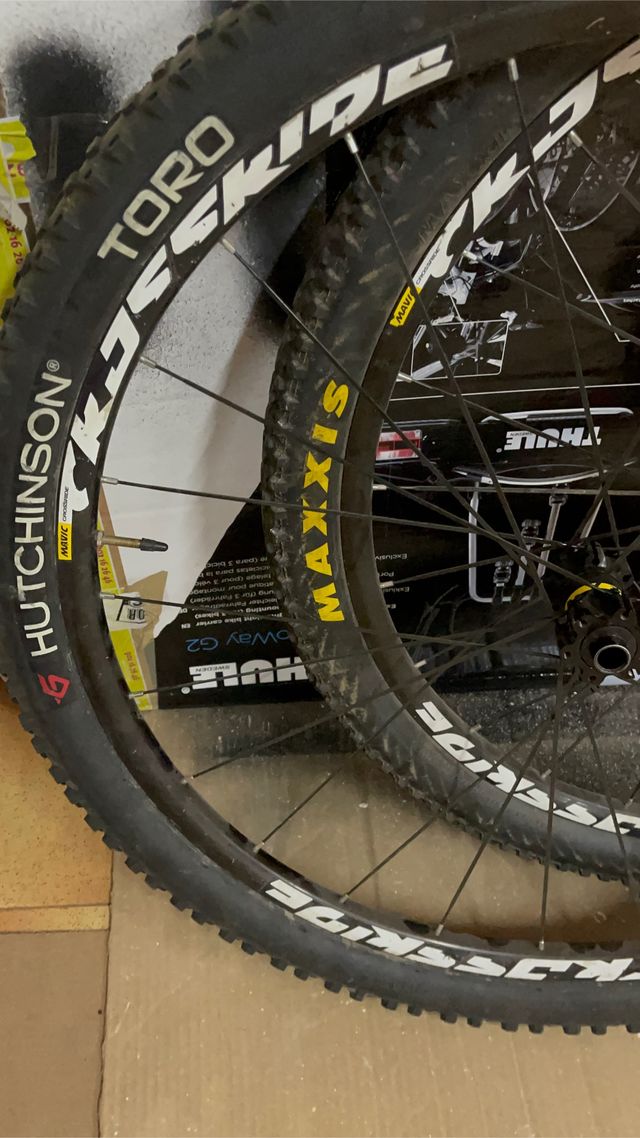 Ruedas 29 Mavic