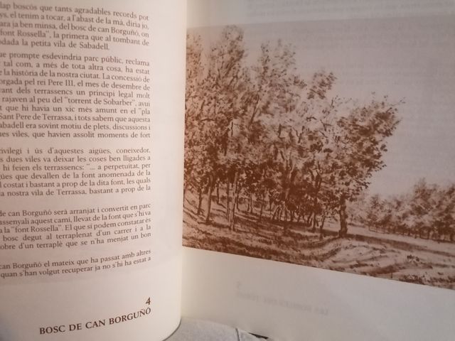 DEL TERME DE SABADELL