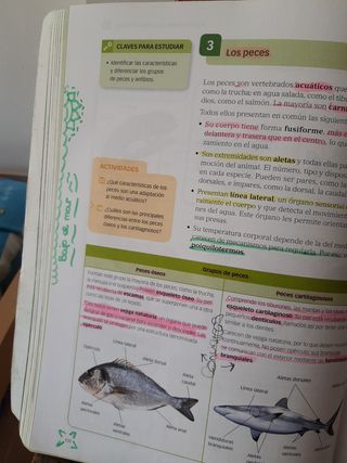 Biología y Geología 1°ESO