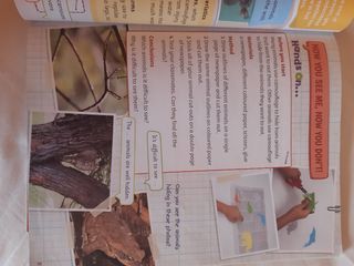 NATURAL SCIENCE PULPIL'S + ACTIVITY