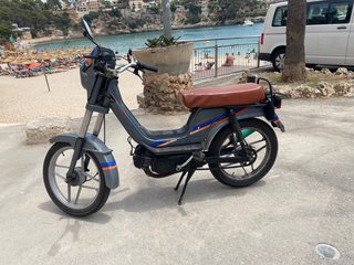 Derbi variant sport