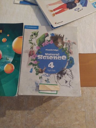 Libros 4 °primaria