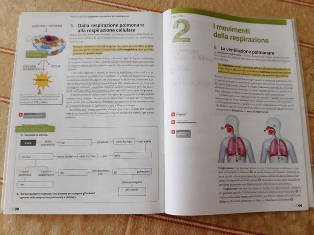 Scopriamo la natura vol 2 isbn 9788808179692