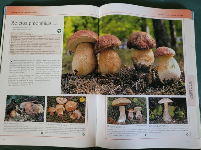 Atlas de los hongos de Castilla y León.