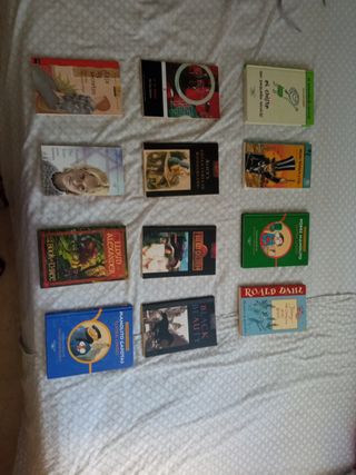 Lote de libros o individualmente