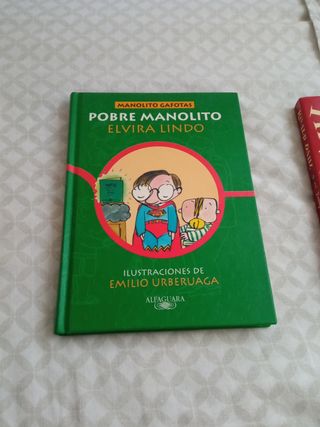 Lote de libros o individualmente