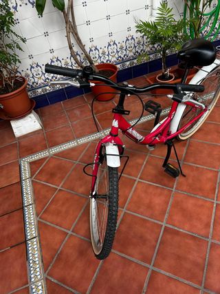 Bicicleta de paseo rosa