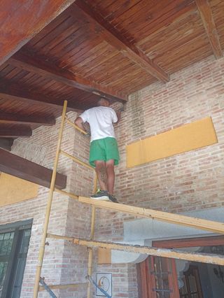 tratamiento para madera