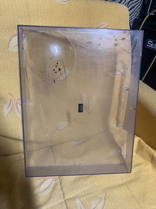 TAPAS TECHNICS, pareja, 2 unidades