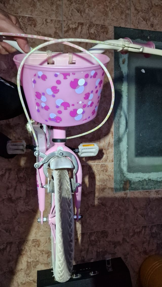 BICICLETA INFANTIL