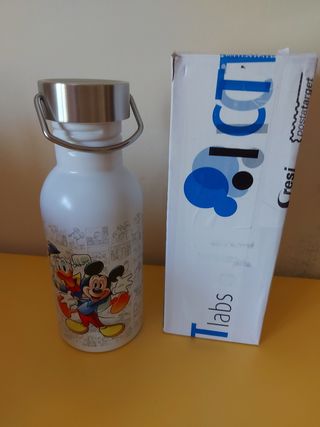 Metal water bottle Topolino 
