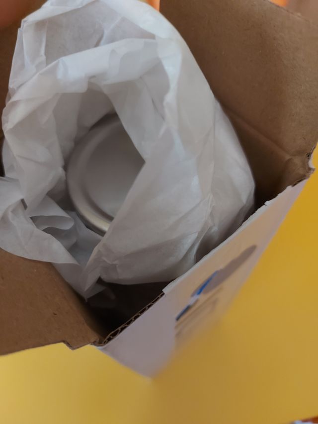 Metal water bottle Topolino