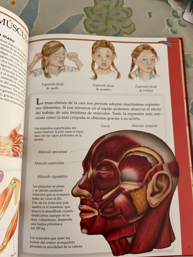 Libro El cuerpo humano