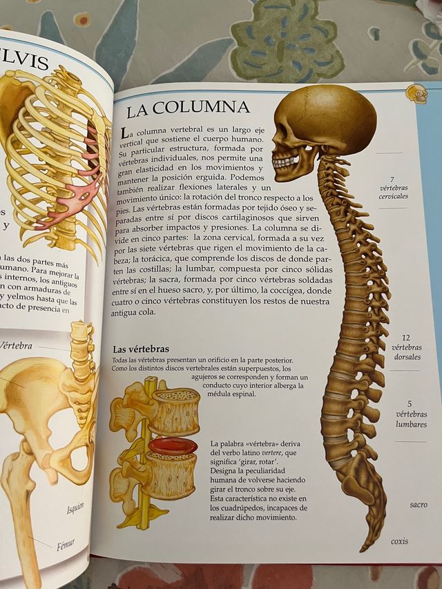 Libro El cuerpo humano