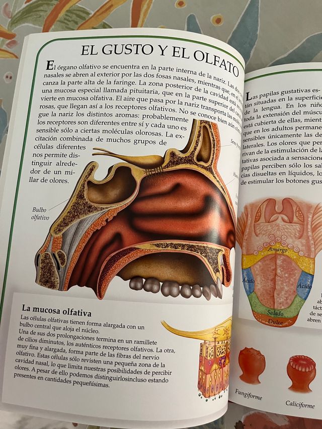 Libro El cuerpo humano