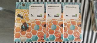 Libros 6 primaria Matemáticas