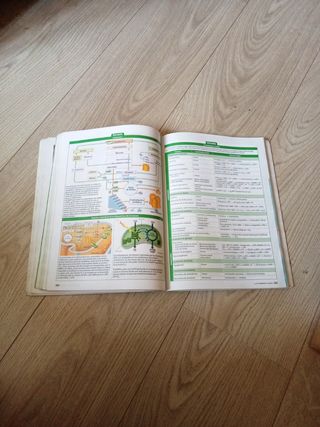 BIOLOGÍA 2° Bachillerato BRUÑO