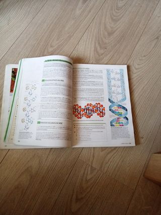 BIOLOGÍA 2° Bachillerato BRUÑO