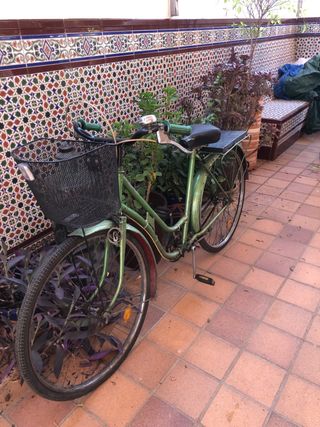 Bicicleta vintage 
