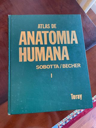 Libros Anatomía Sobotta tomo I y II