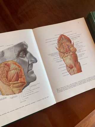 Libros Anatomía Sobotta tomo I y II