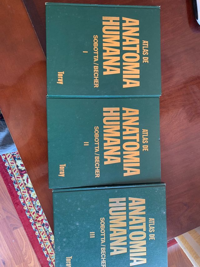 Libros Anatomía Sobotta tomo I y II