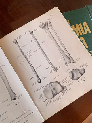 Libros Anatomía Sobotta tomo I y II