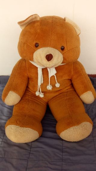 oso gigante